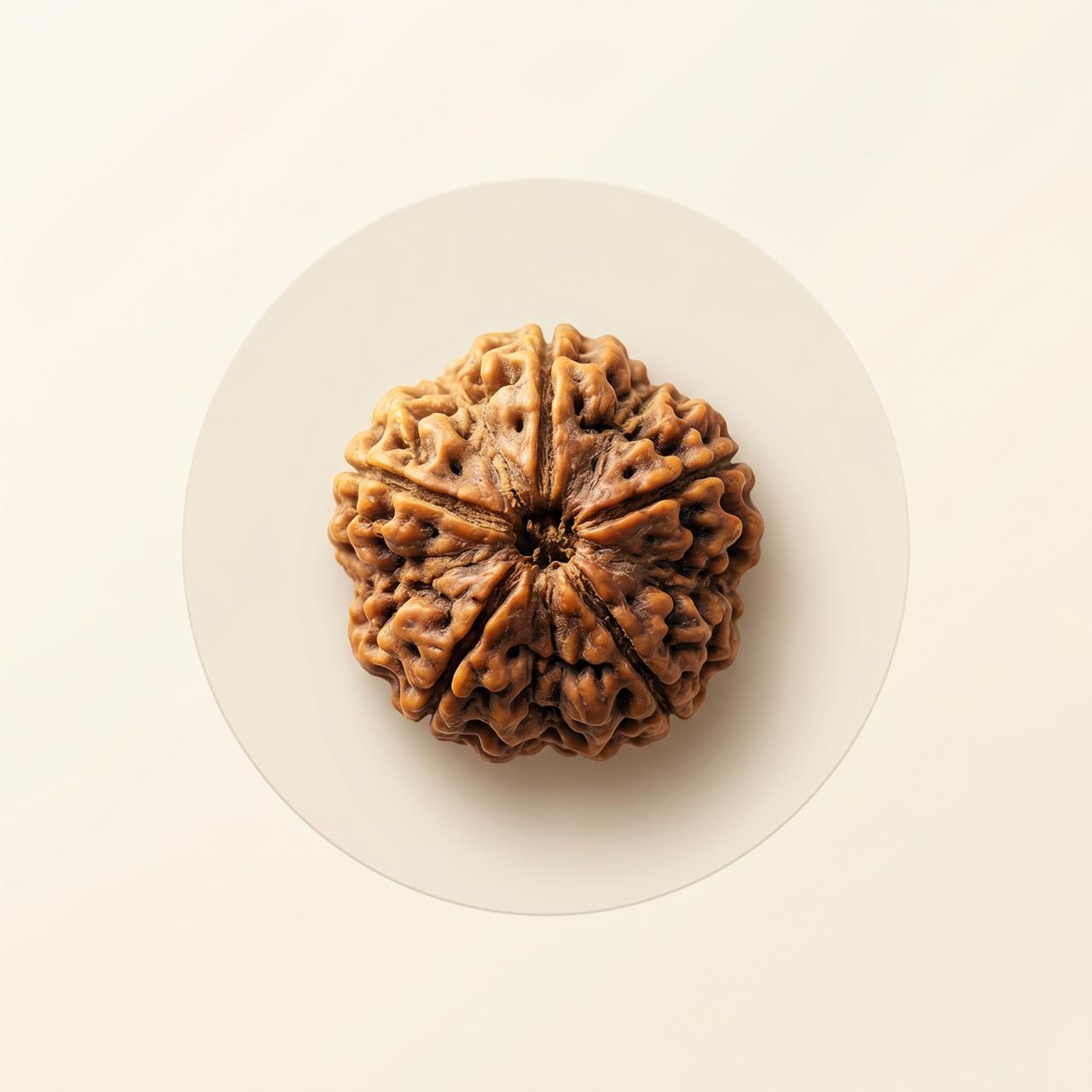Rudraksha