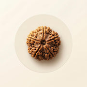 Rudraksha