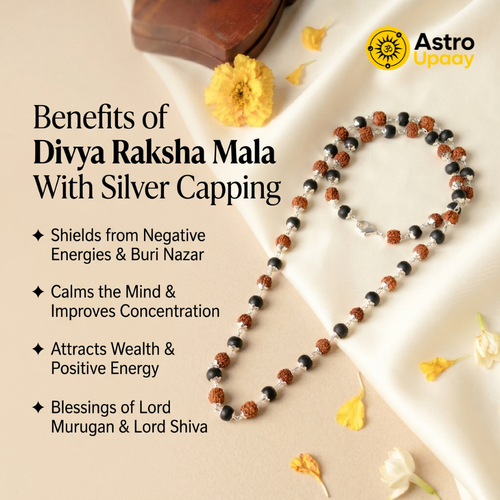 Premium Rudraksha & Black Bead Spiritual Mala Necklace
