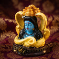 SHIV JI