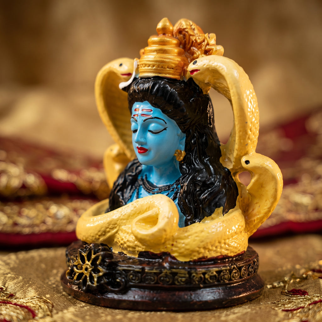 SHIV JI